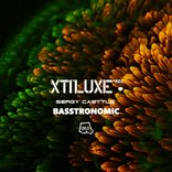 Artwork for "Basstronomic"