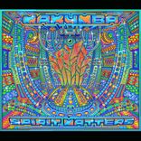 Portada para "Spirit Matters"