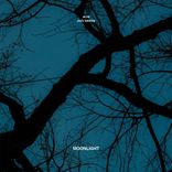 Moonlight