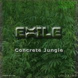 Artwork for "Concrete Jungle"