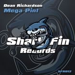 Artwork voor "Mega Pint"