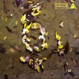 Portada para "Atrofia"