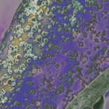 Artwork voor "Nature's Structure"