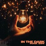 Artwork for "In the Dark"