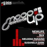 Artwork for "Newlife"