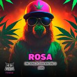 Artwork for "Rosa"