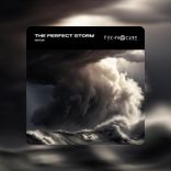 Artwork für "The Perfect Storm"