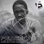 Artwork voor "Peace"
