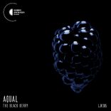 Artwork for "The Black Berry"