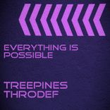 Portada para "Everything Is Possible"