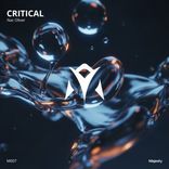 Portada para "Critical"