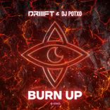 Artwork for "Burn Up"