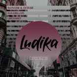 Artwork voor "Parabellum"