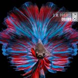 Artwork für "Colors"