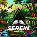 Artwork for "Serein"