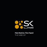 Artwork for "The Vibe"