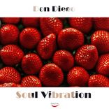 Artwork for "Soul Vibration"