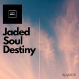 Artwork voor "Destiny"