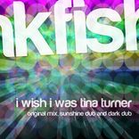 Portada para "I Wish I Was Tina Turner"