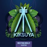 Artwork for "Elástico"