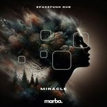 Artwork for "Miracle"