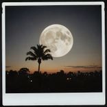 Artwork for "Amor De Lua"