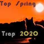 Artwork for "Top Spring Trap 2020"