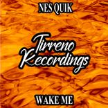 Artwork for "Wake Me"