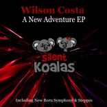 Artwork voor "A New Adventure"