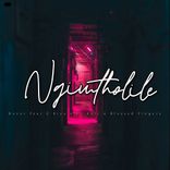 Ngimtholile