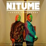 Portada para "Nitume"