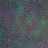 Artwork for "Torment"