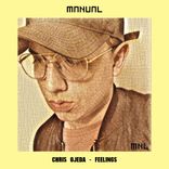 Artwork for "Feelings"