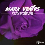 Artwork for "Stay Forever"