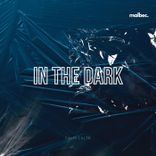 In the Dark