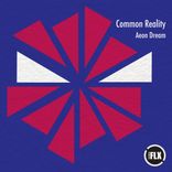 Artwork for "Common Reality"