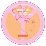 Artwork for "Dirty Swing"