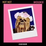 Portada para "Wooks"