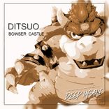 Portada para "Bowser Castle"