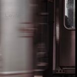 Portada para "Levite"