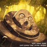 Artwork for "More Bongo Please"