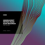 Portada para "Take the Floor"