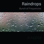 Artwork für "Raindrops"