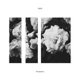 Portada para "Perceptions"