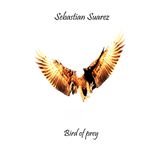 Portada para "Bird of Prey"