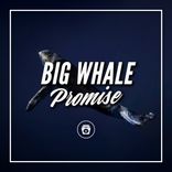 Portada para "Big Whale Promise"