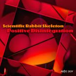 Artwork voor "Positive Disintegration"