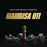 Artwork for "Mambisa 011"