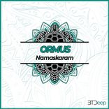 Portada para "Namaskaram"