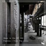 Portada para "From The Ashes"